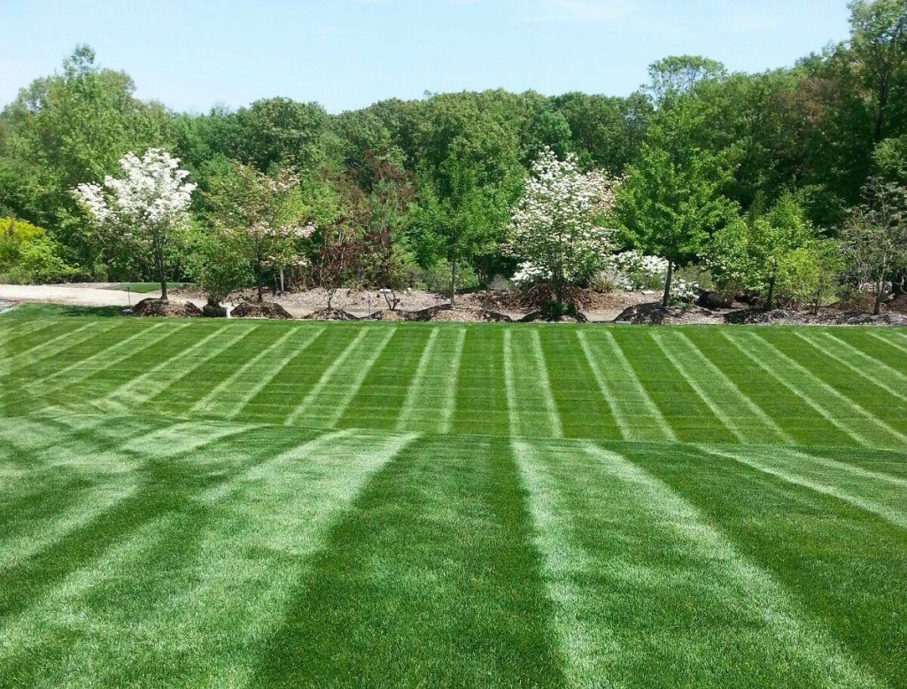 Lawn Care Turf Technologies, Inc.